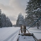Rovaniemi – Lapland - azgezmis.com